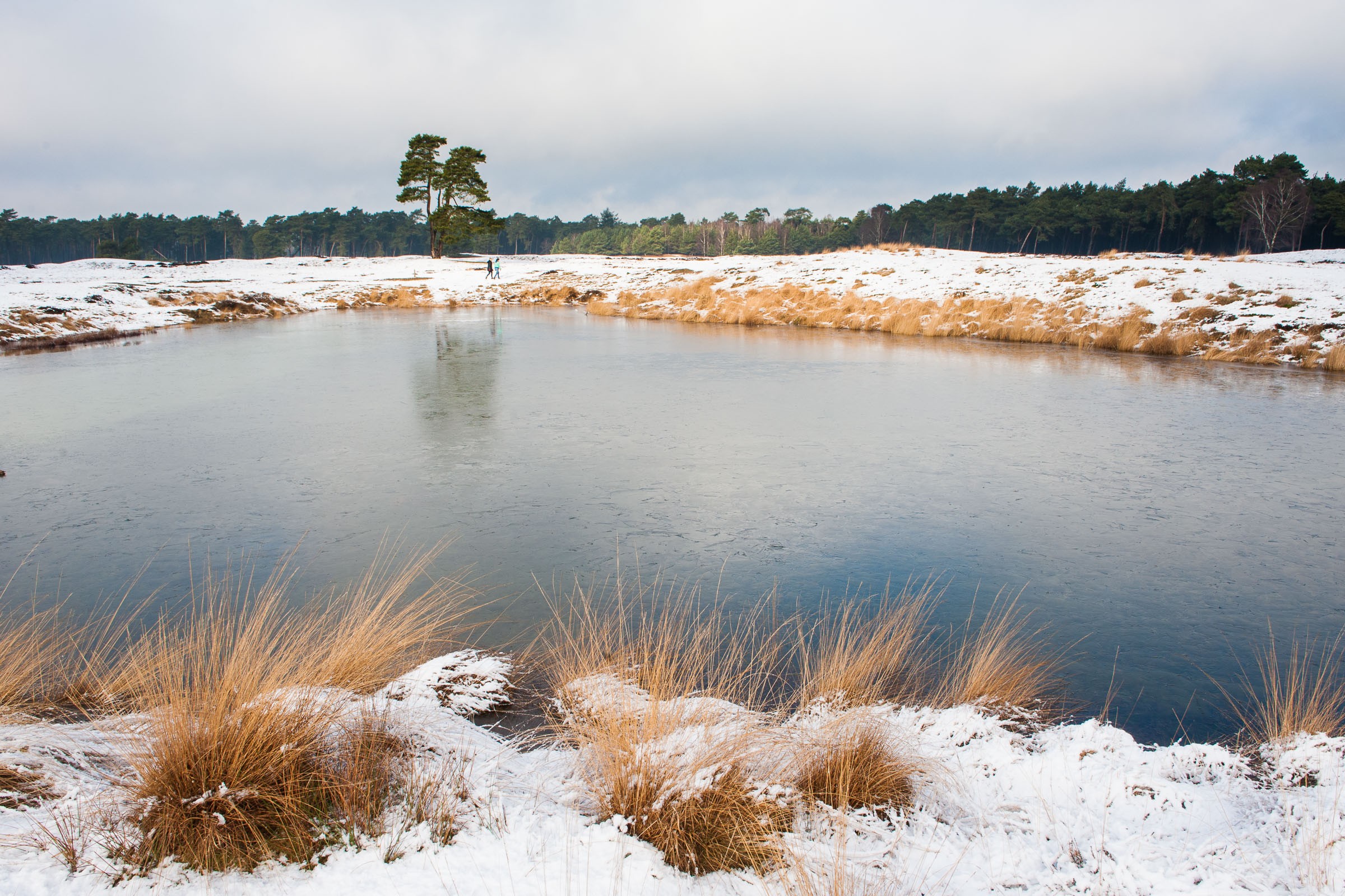 Sneeuwlandschap in Nederland