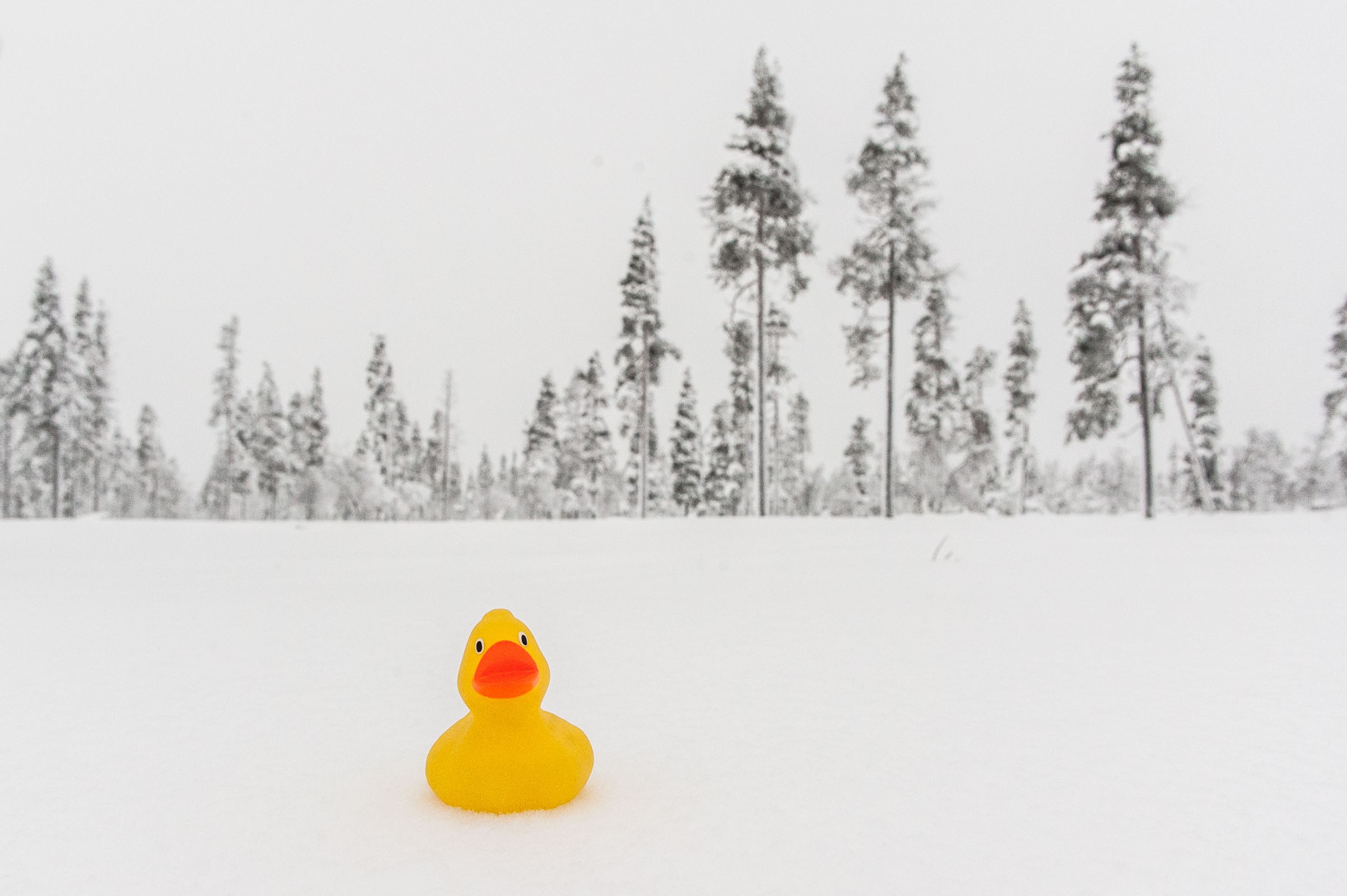 Witbalans gecorrigeerd bij sneeuwfoto