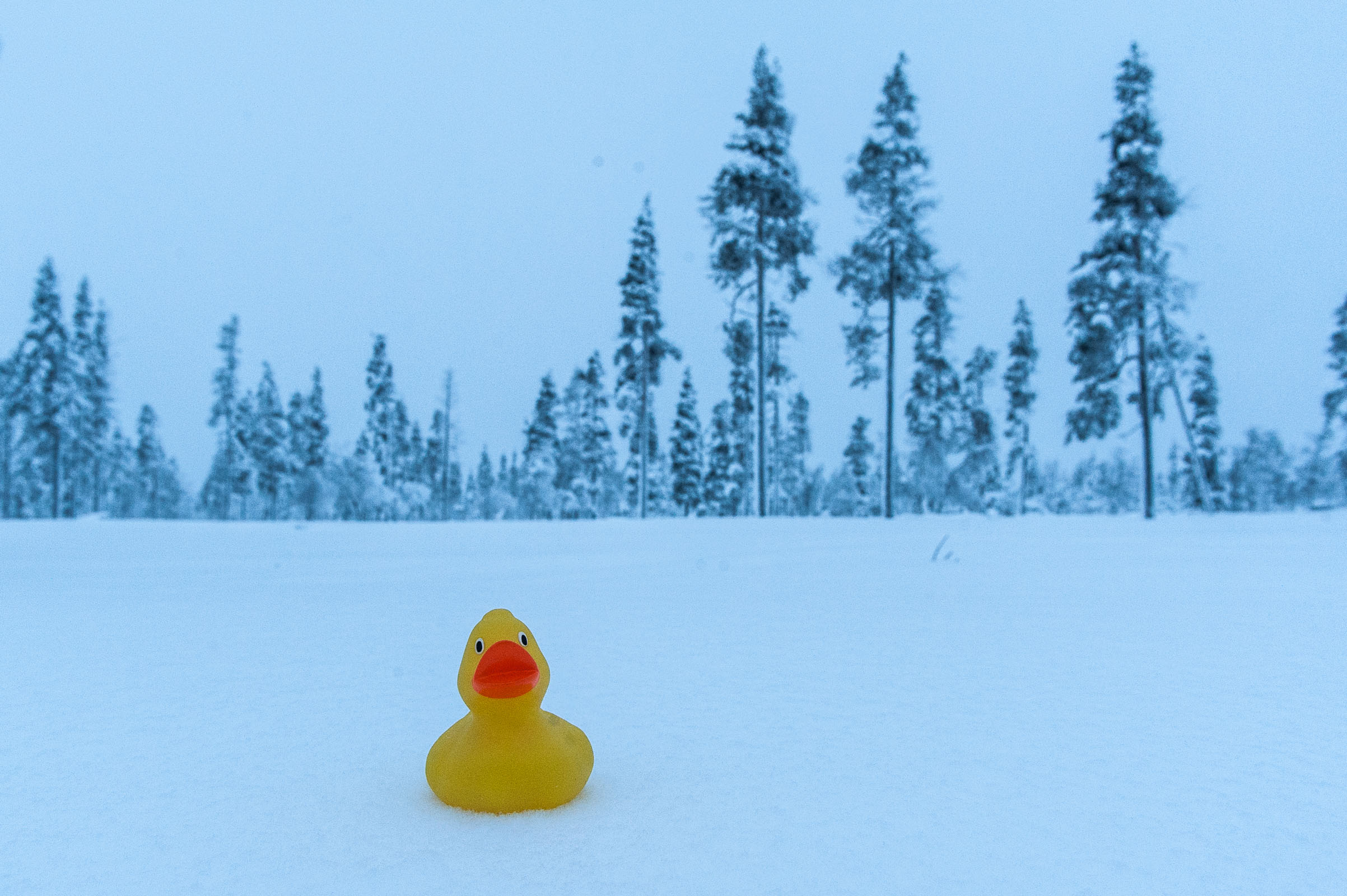 Witbalans bij sneeuwfoto's: te blauw