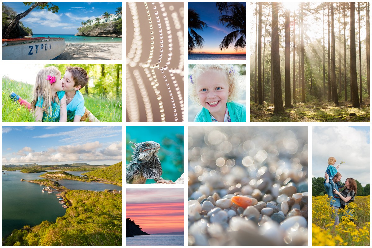 Mijn favoriete foto van 2014