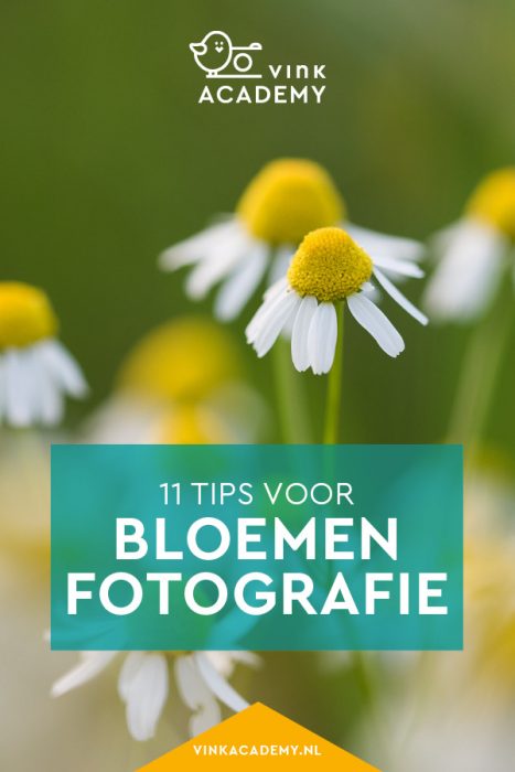 11 tips voor bloemen fotograferen