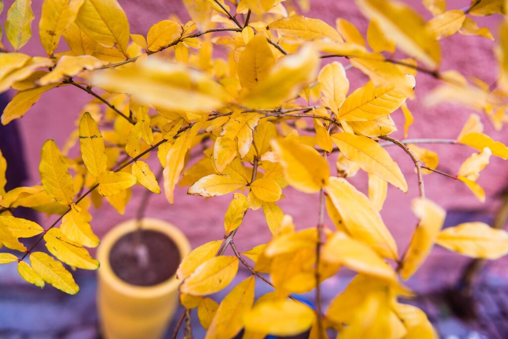 Fotoproject Marrakech