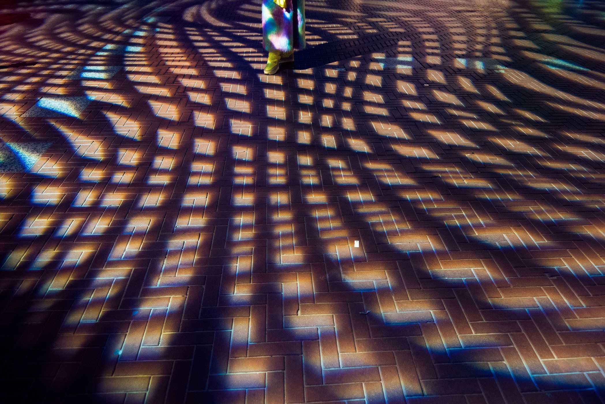 Lichtfestival GLOW fotograferen