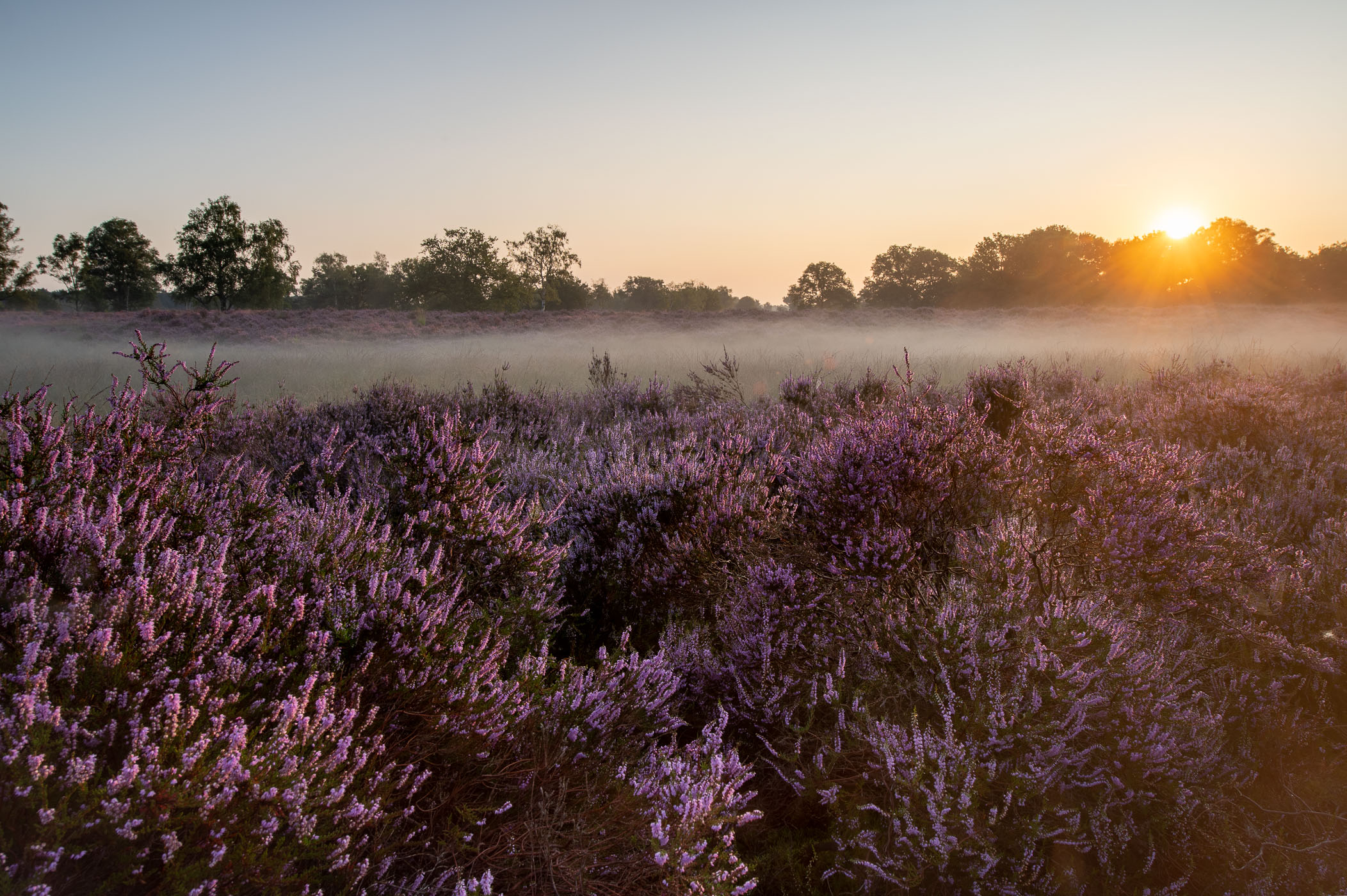 Als de zon boven de horizon komt, moet je snel zijn. Drie minuten na het maken van deze foto was het subtiele mistlaagje alweer verdwenen.