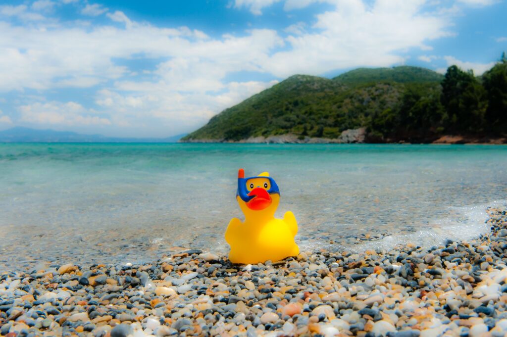 Het schuifje van helderheid is hier op -100 gezet. De foto heeft een soort blur over zich gekregen doordat randen in het beeld vervaagt zijn.