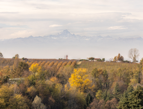 Hall of Fame: Herfstgevoel