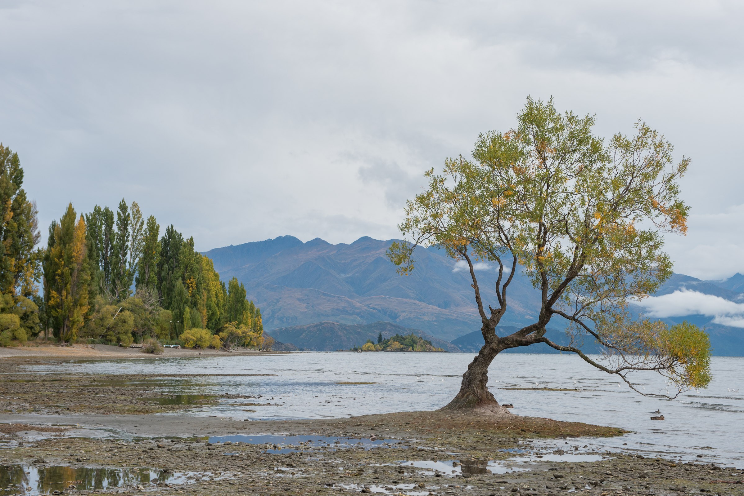 Bewolkte ochtend in Wanaka, Nieuw-Zeeland.