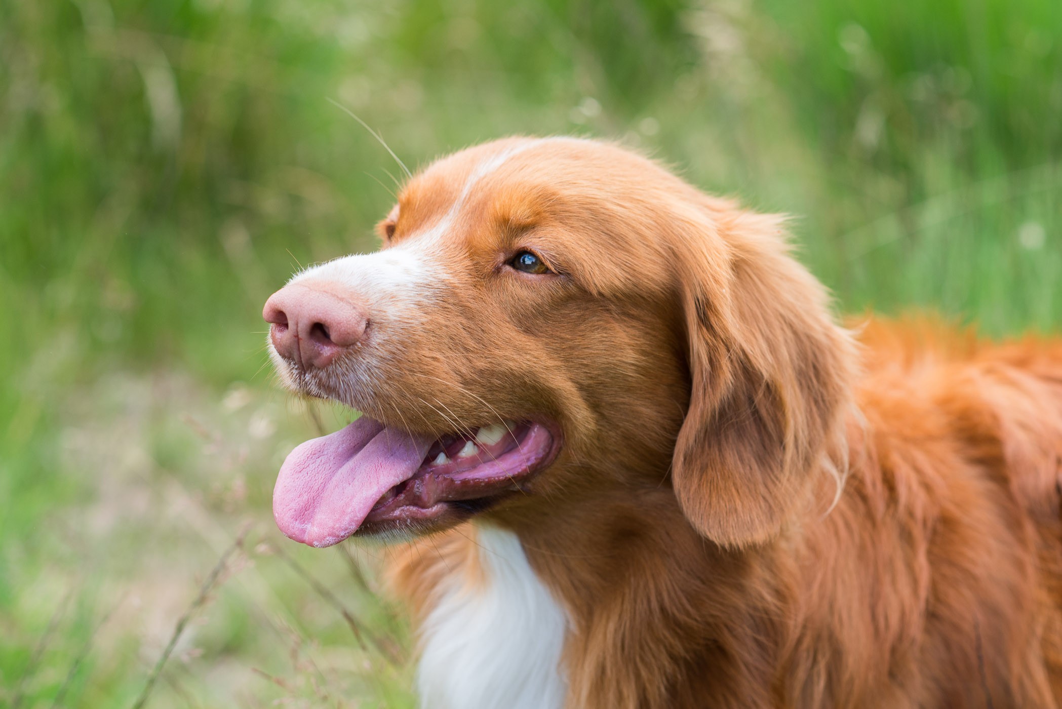 Scherpstellen op de ogen
