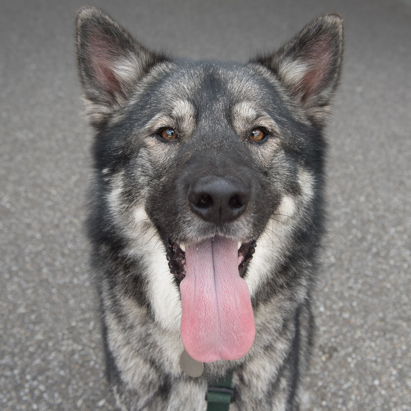 Photoshop Content Aware