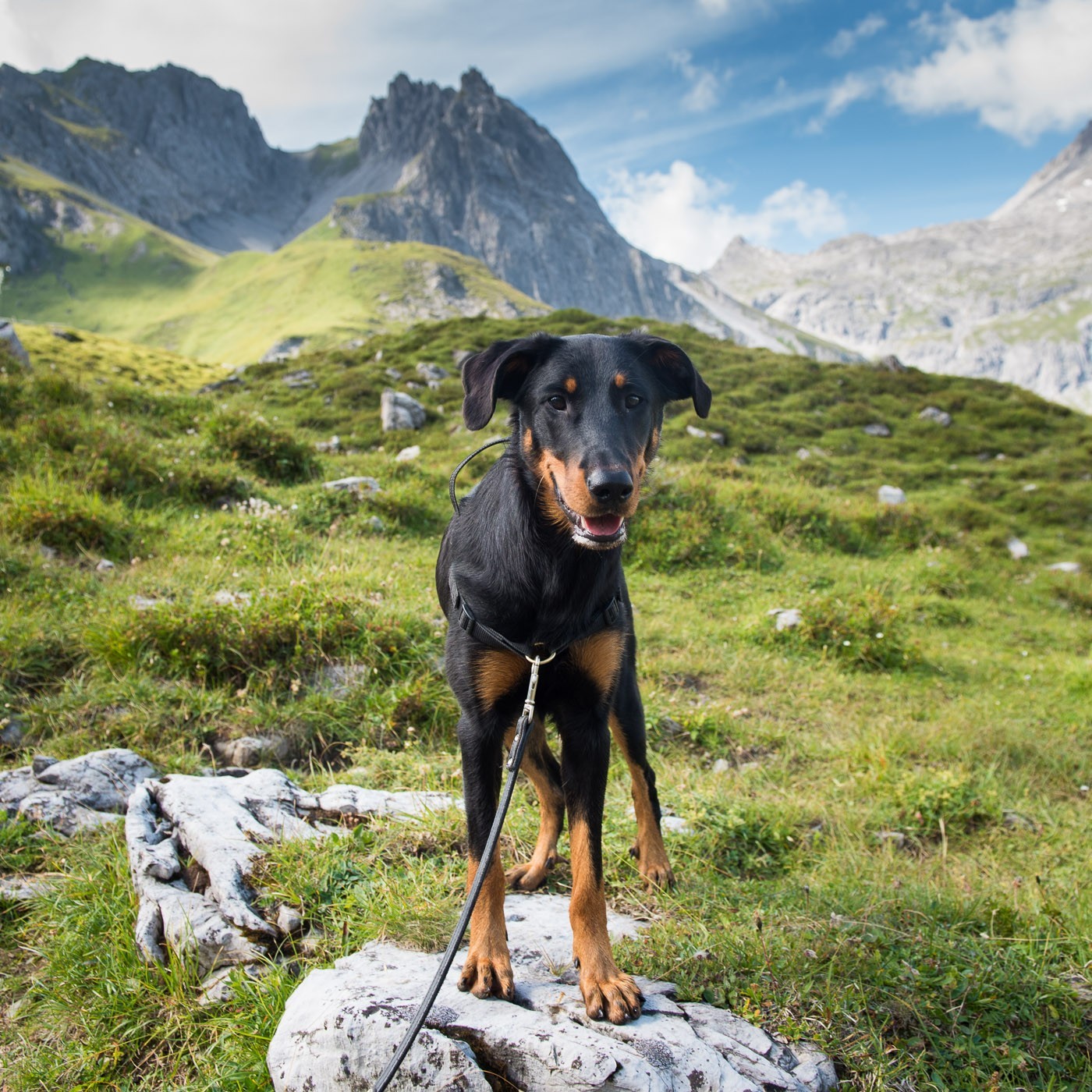 Het was hier waarschijnlijk wel mooier geweest als ik de foto van JJ had gemaakt zonder de lijn.