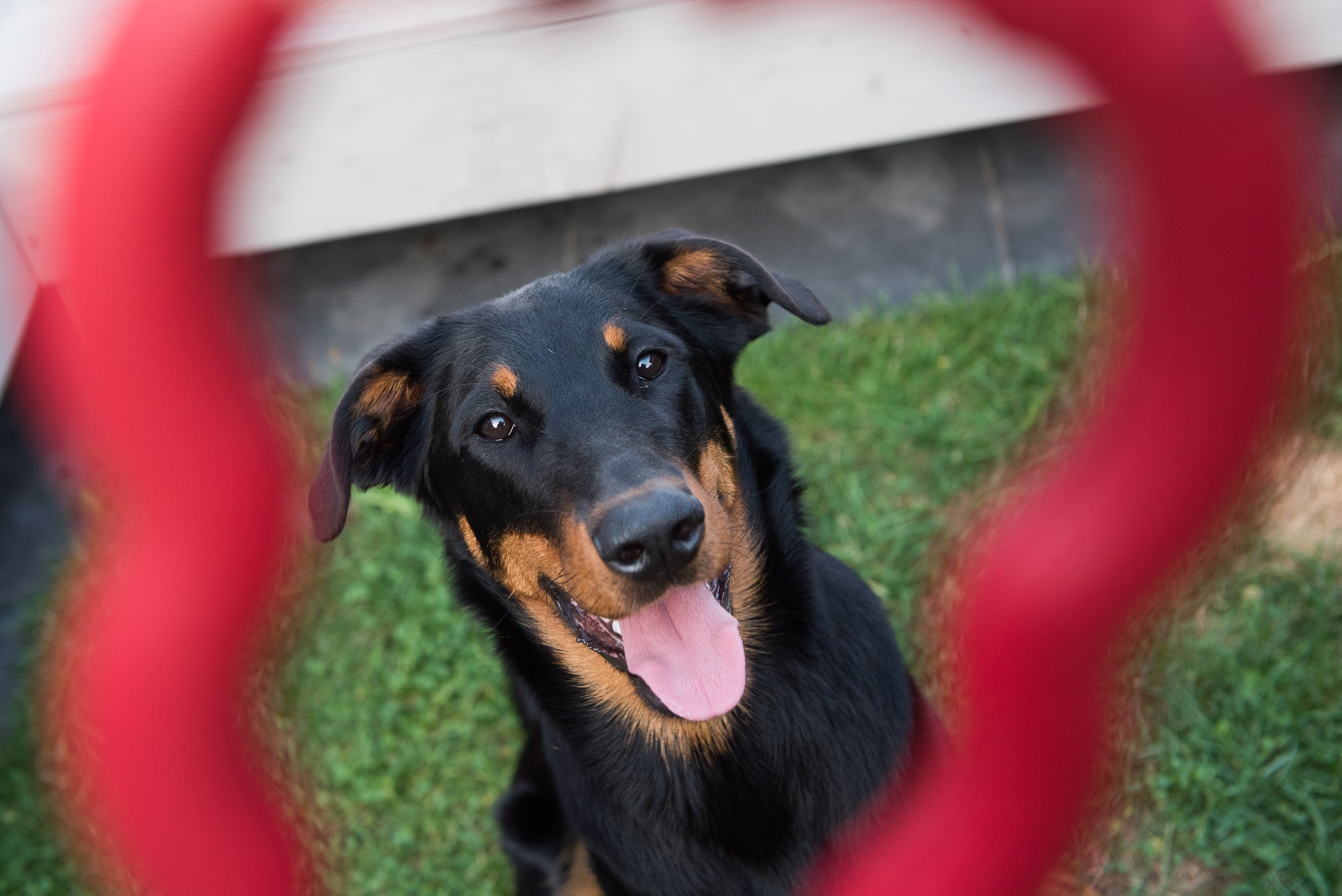 Het favoriete speeltje van JJ is hier een soort kader in de foto.