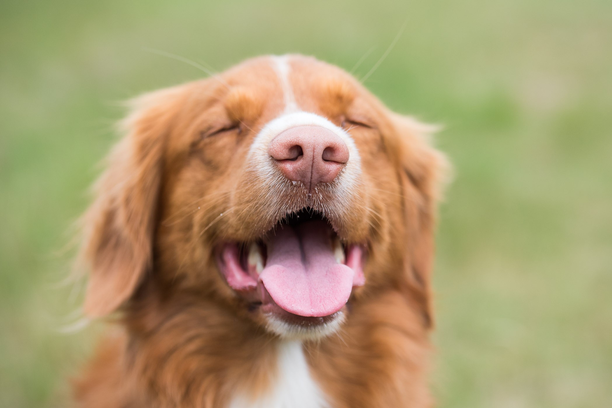 Natuurlijk mag je ook schersptellen op de neus, zolang dit maar bewust is en je het niet erg vind dat de ogen eventueel onscherp zijn.