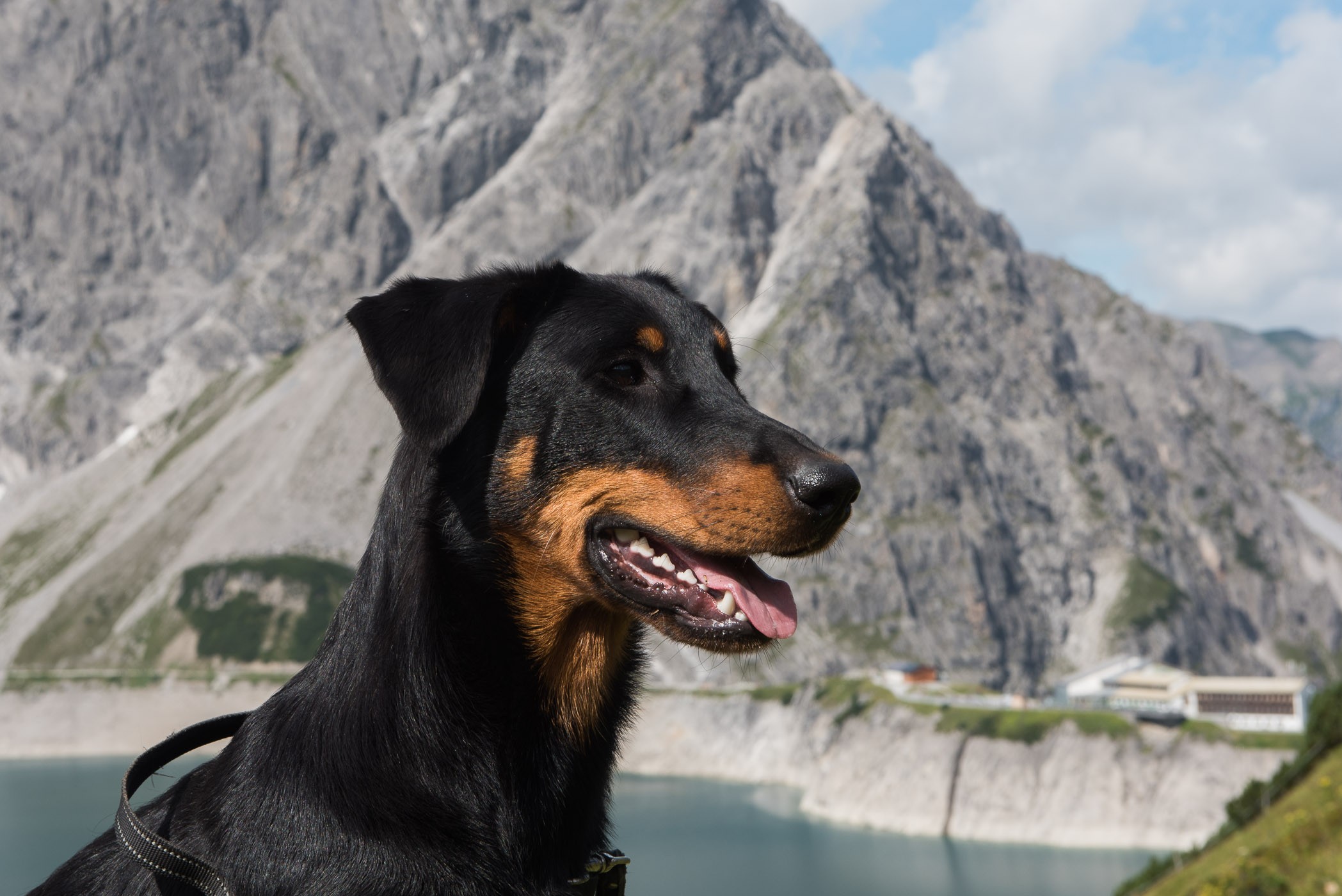 De zon staat zo dat JJ's ogen precies in de schaduw vallen. Haar ogen spreken niet.