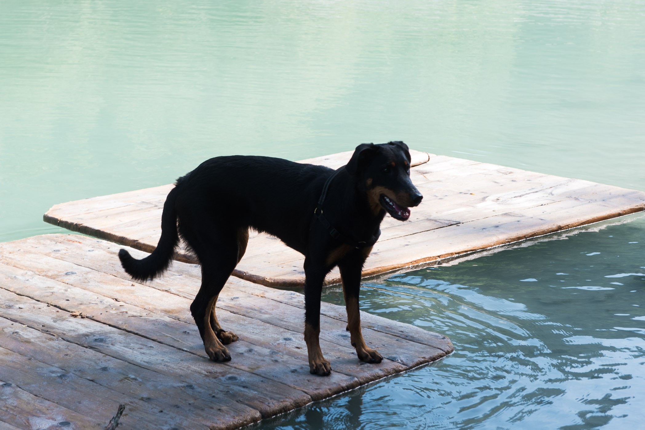 Nog mee contrast! JJ staat in de schaduw, maar het water erachter krijgt zonlicht. JJ verandert hierdoor in een zwarte vlek.