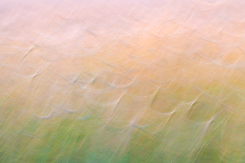 Abstracte foto door ICM