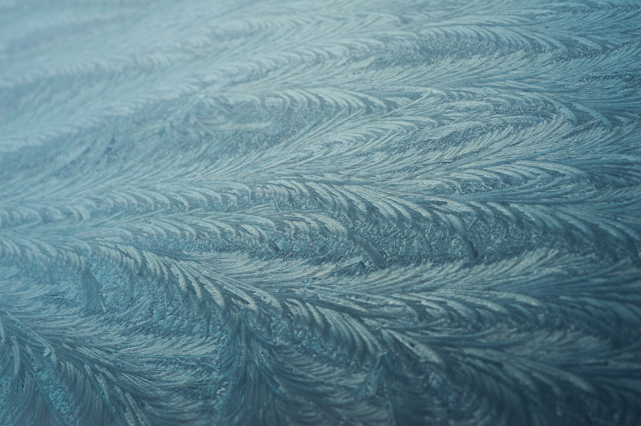 IJsbloemen op voorruit van de auto, van buitenaf gefotografeerd