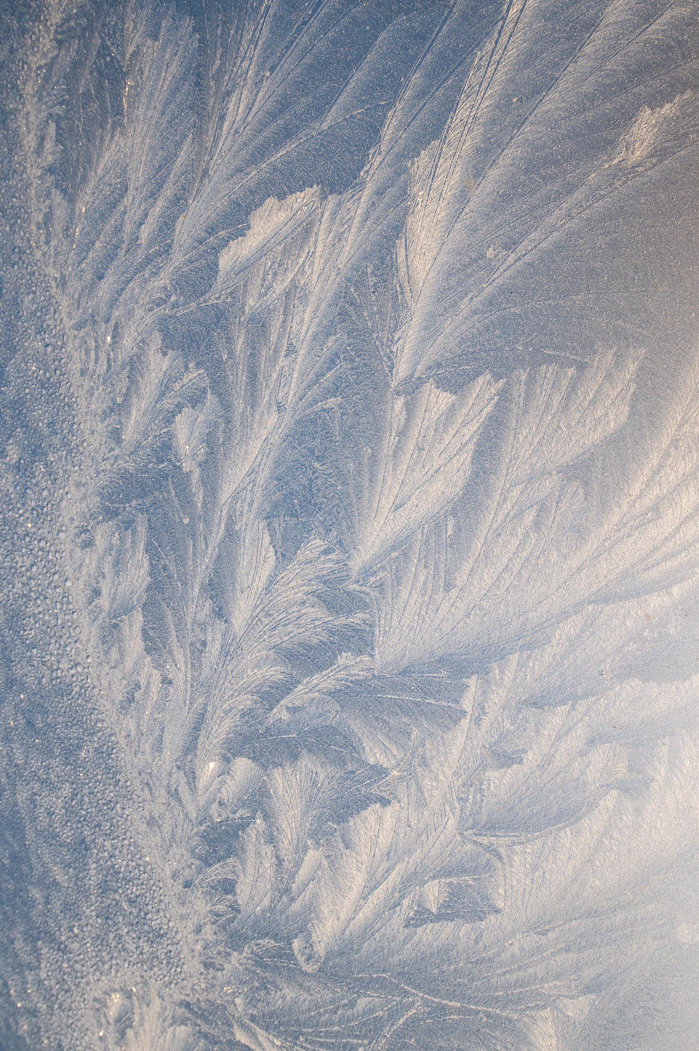 Foto van ijsbloemen, bewerkt