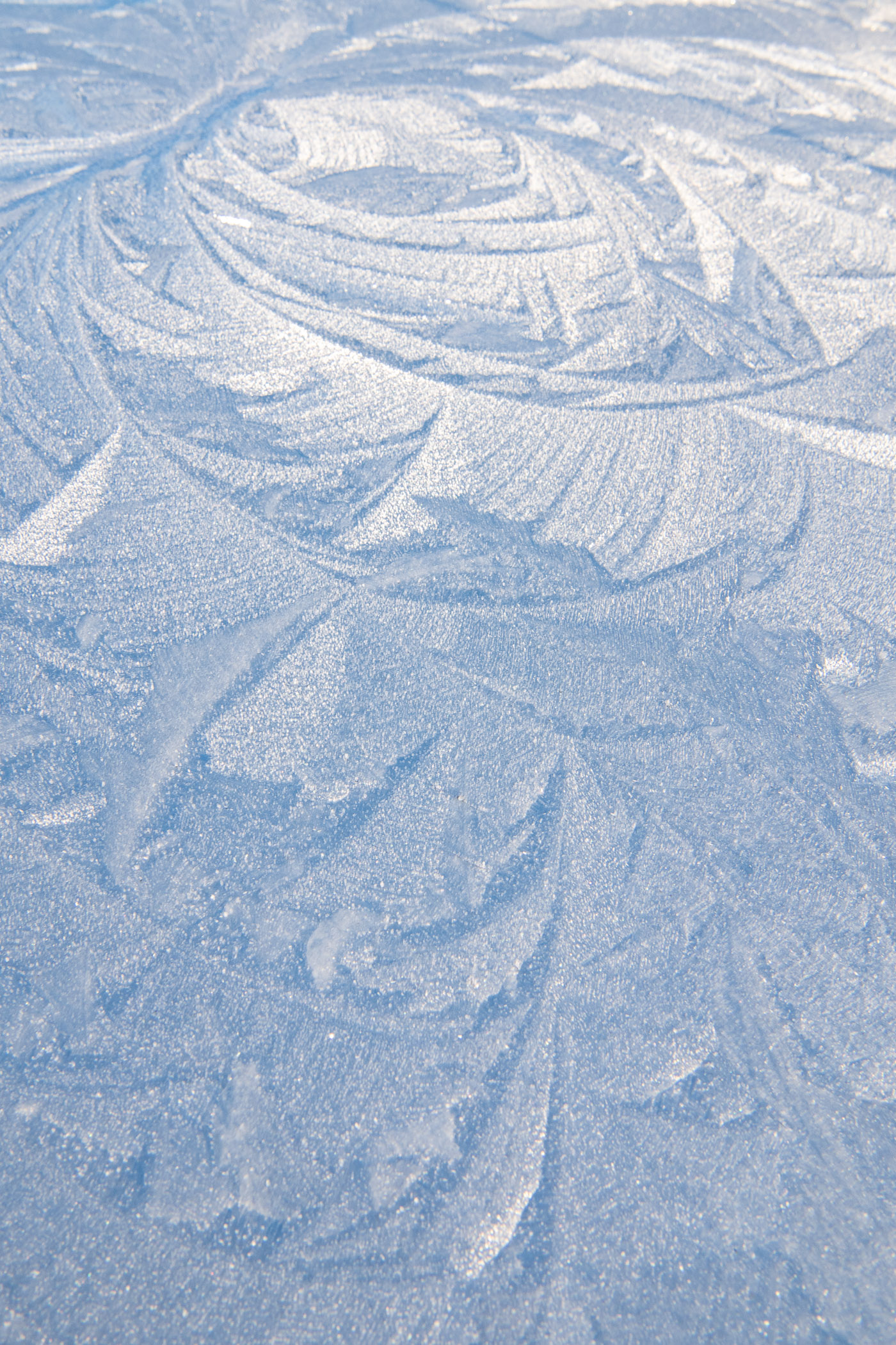 IJsbloemen op dak van een zilverkleurige auto