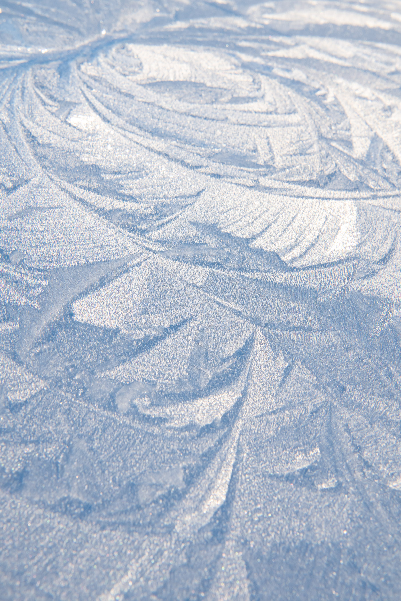 IJsbloemen op dak van een zilverkleurige auto