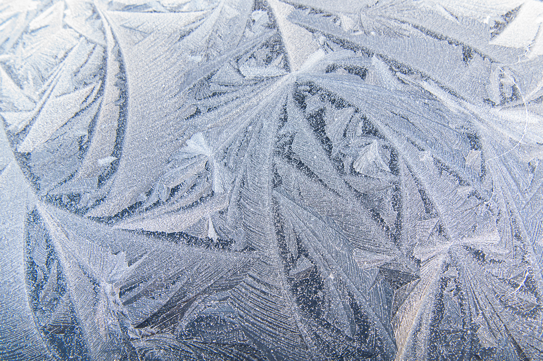 Ijsbloemen diffuuslicht