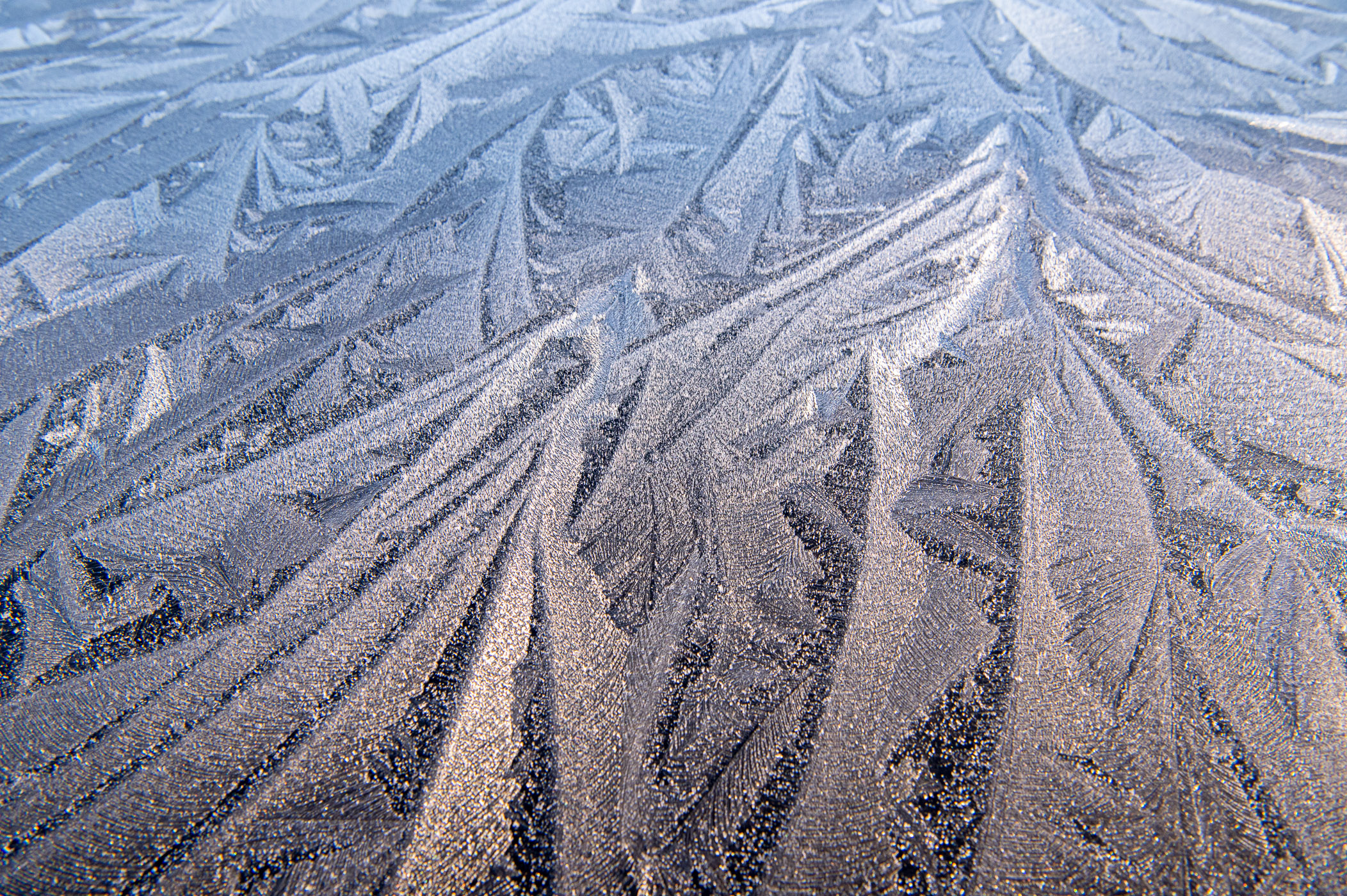 IJsbloemen gefotografeerd met zonlicht