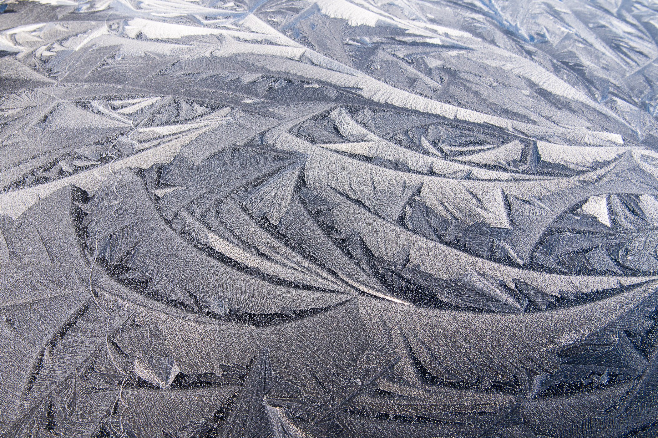 IJsbloemen op het dak van een zwarte auto