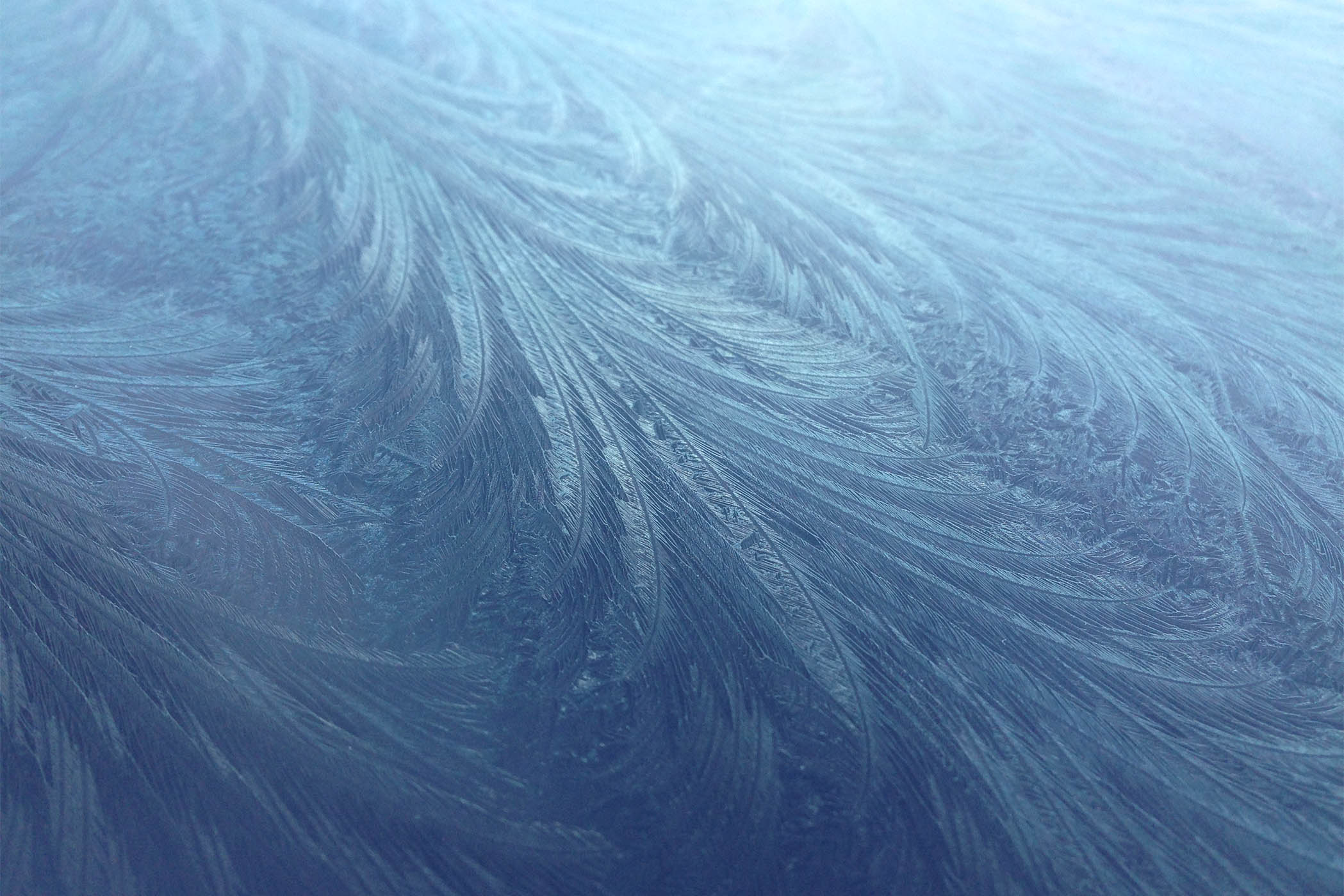 IJsbloemen op voorruit, gefotografeerd met een smartphone (iPhone)