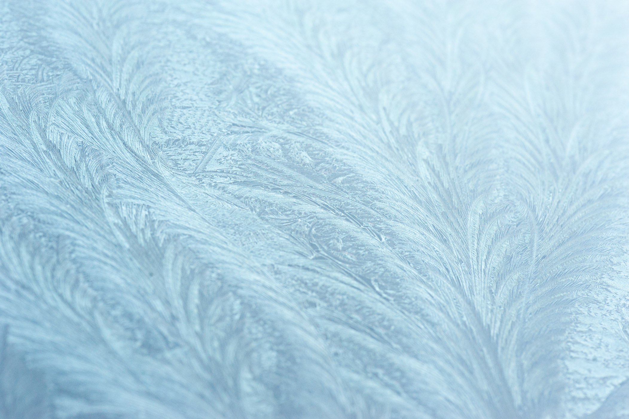 Foto van ijsbloemen op het raam van een auto