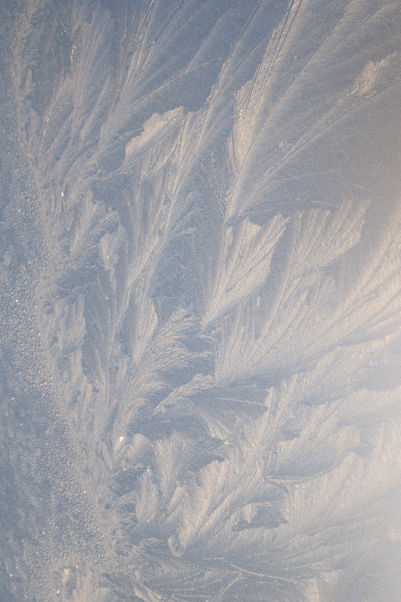 Foto van ijsbloemen, onbewerkt