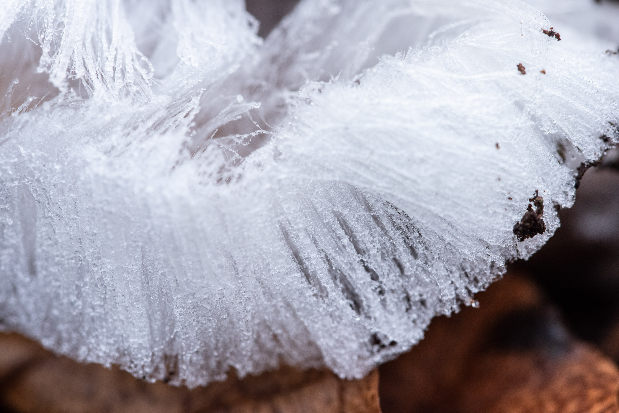 IJshaar gefotografeerd