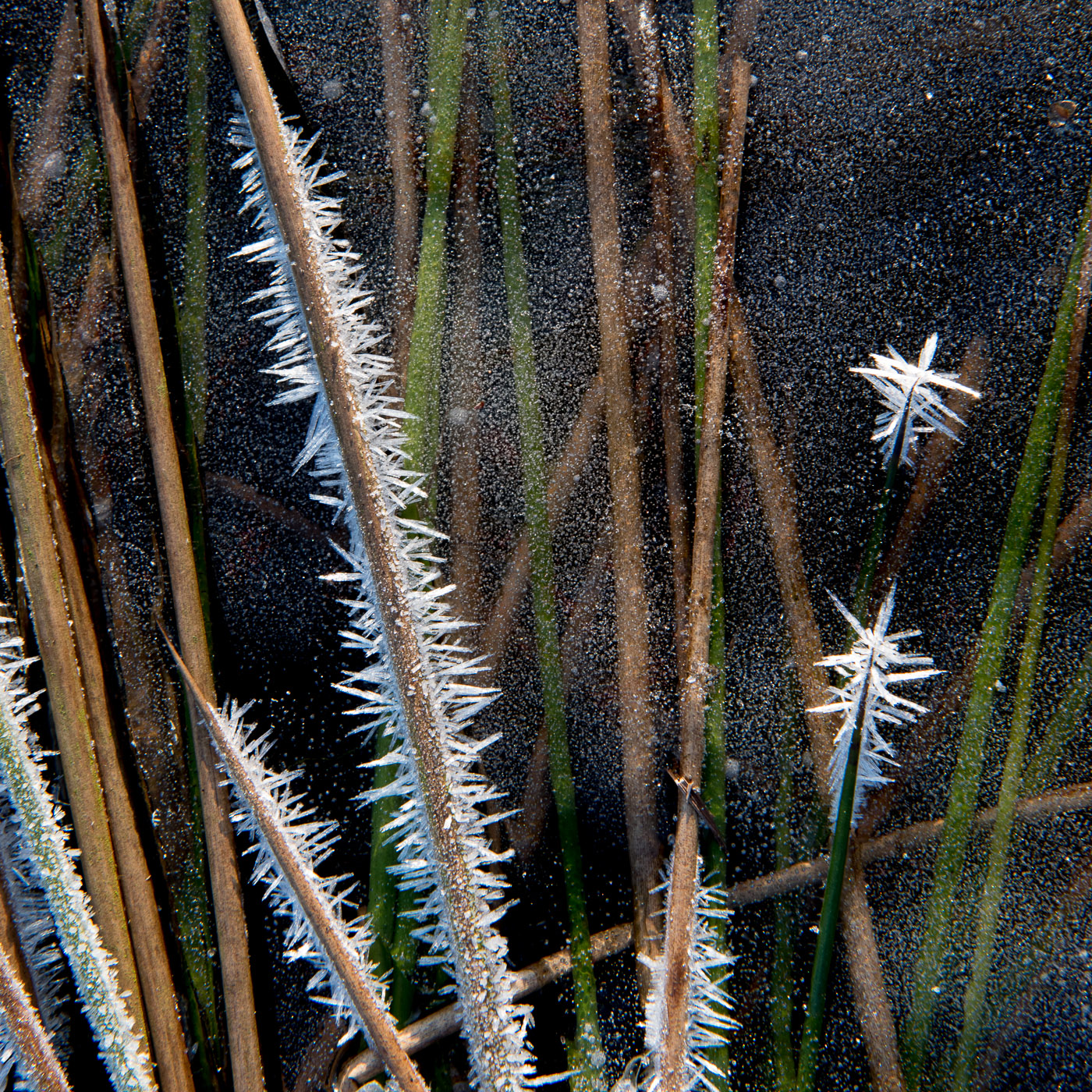IJskristallen bij een bevroren meertje.