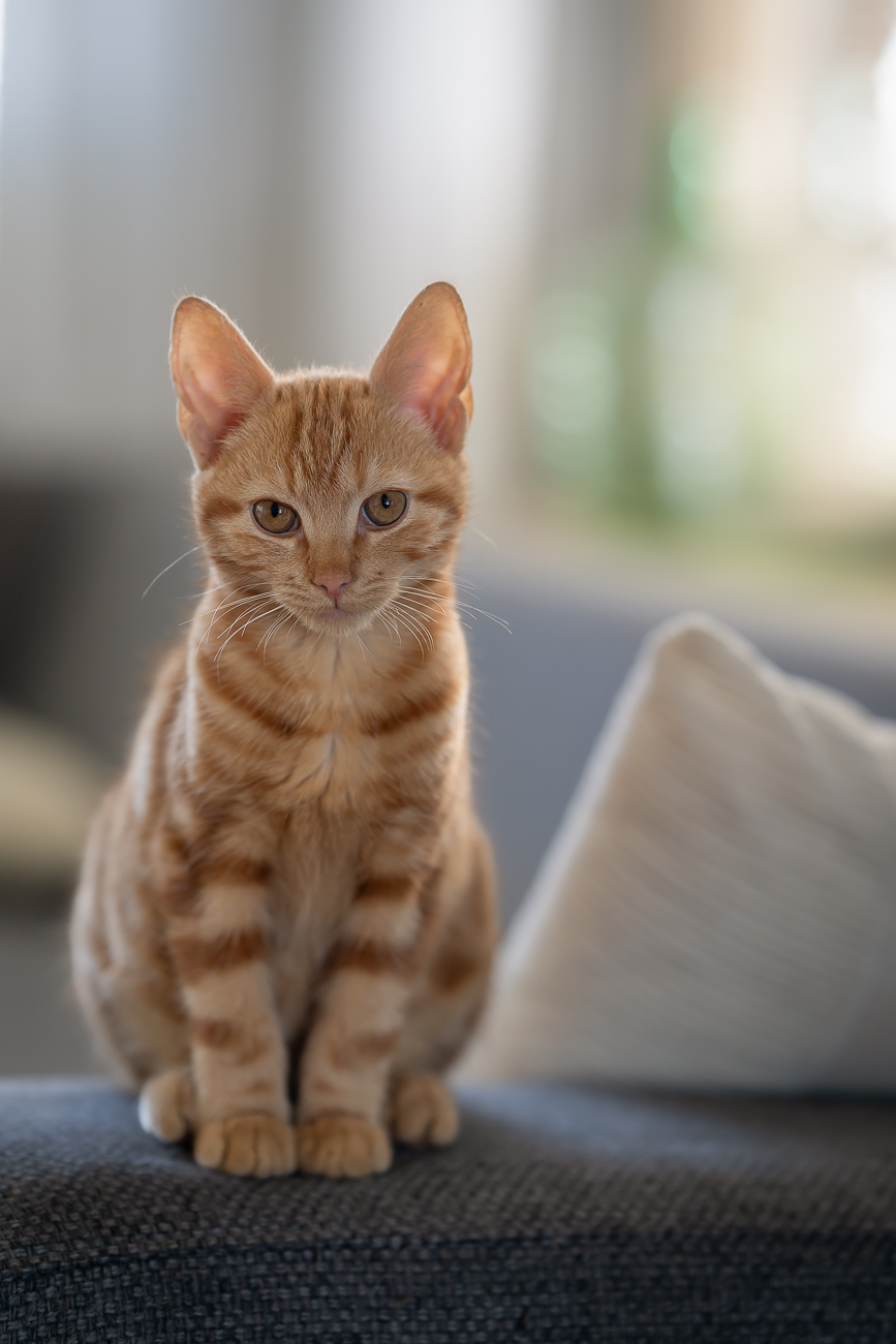 Jolanda van der Knaap