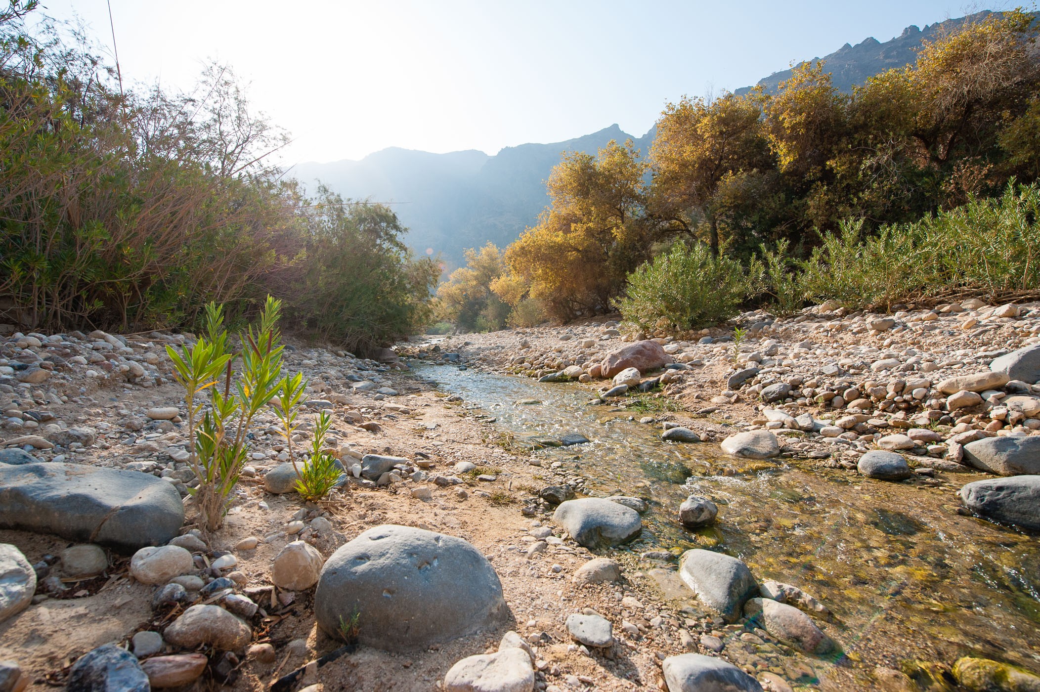 jordanie-laura-vink-5994