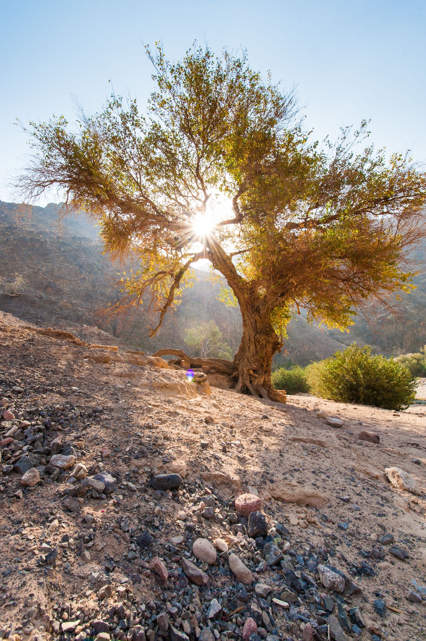 jordanie-laura-vink-6039