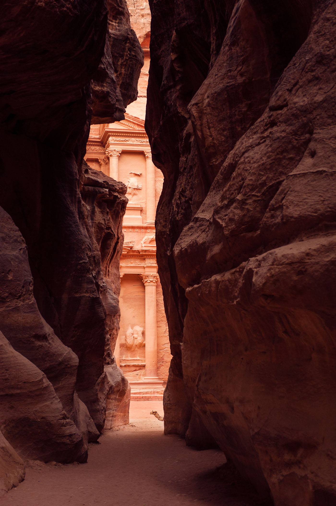 Petra