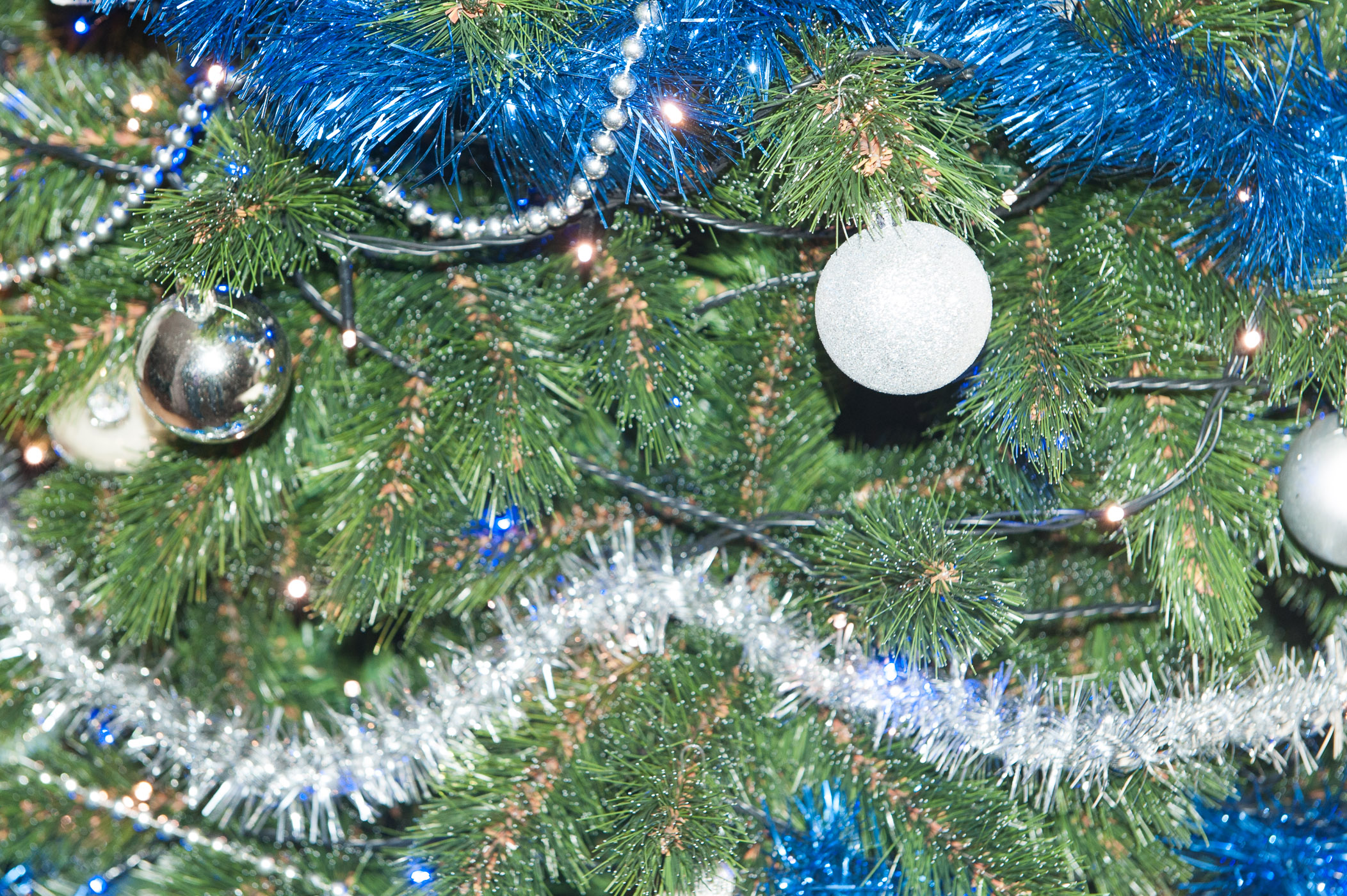 Met flitslicht van de automatische stand