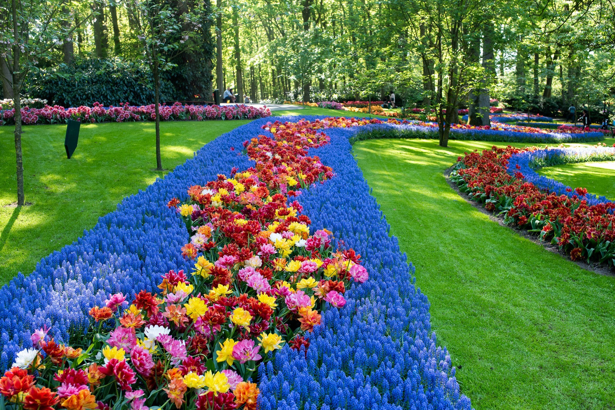 Prachtige paden en lanen in de Keukenhof