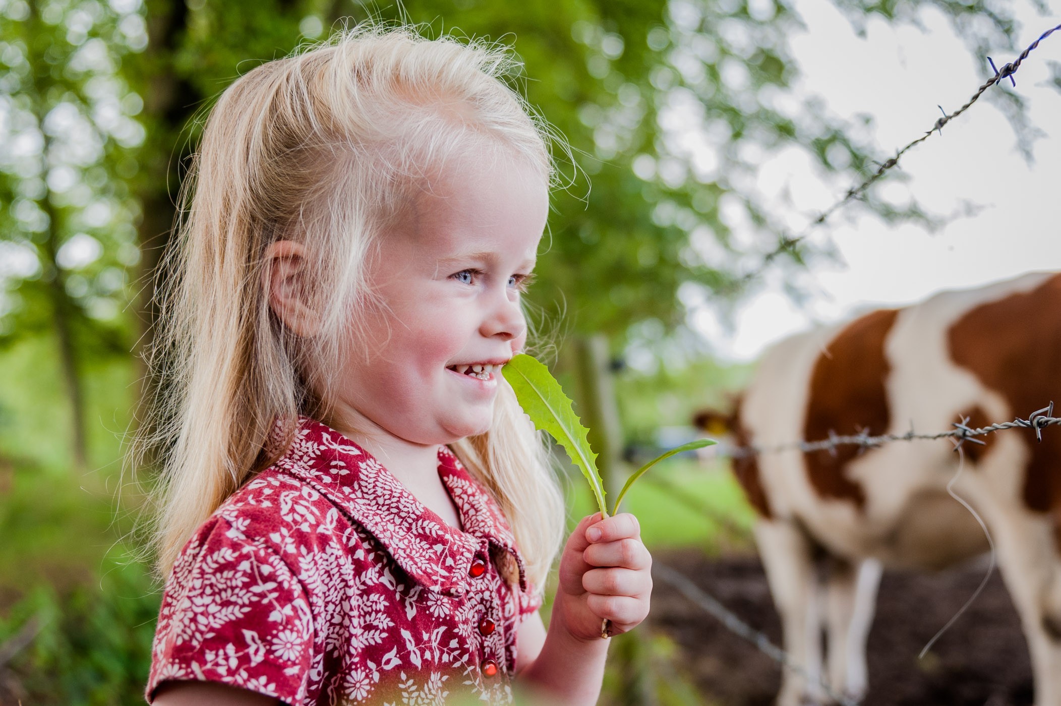 Kijkruimte: kaatje kijkt naar de koeien