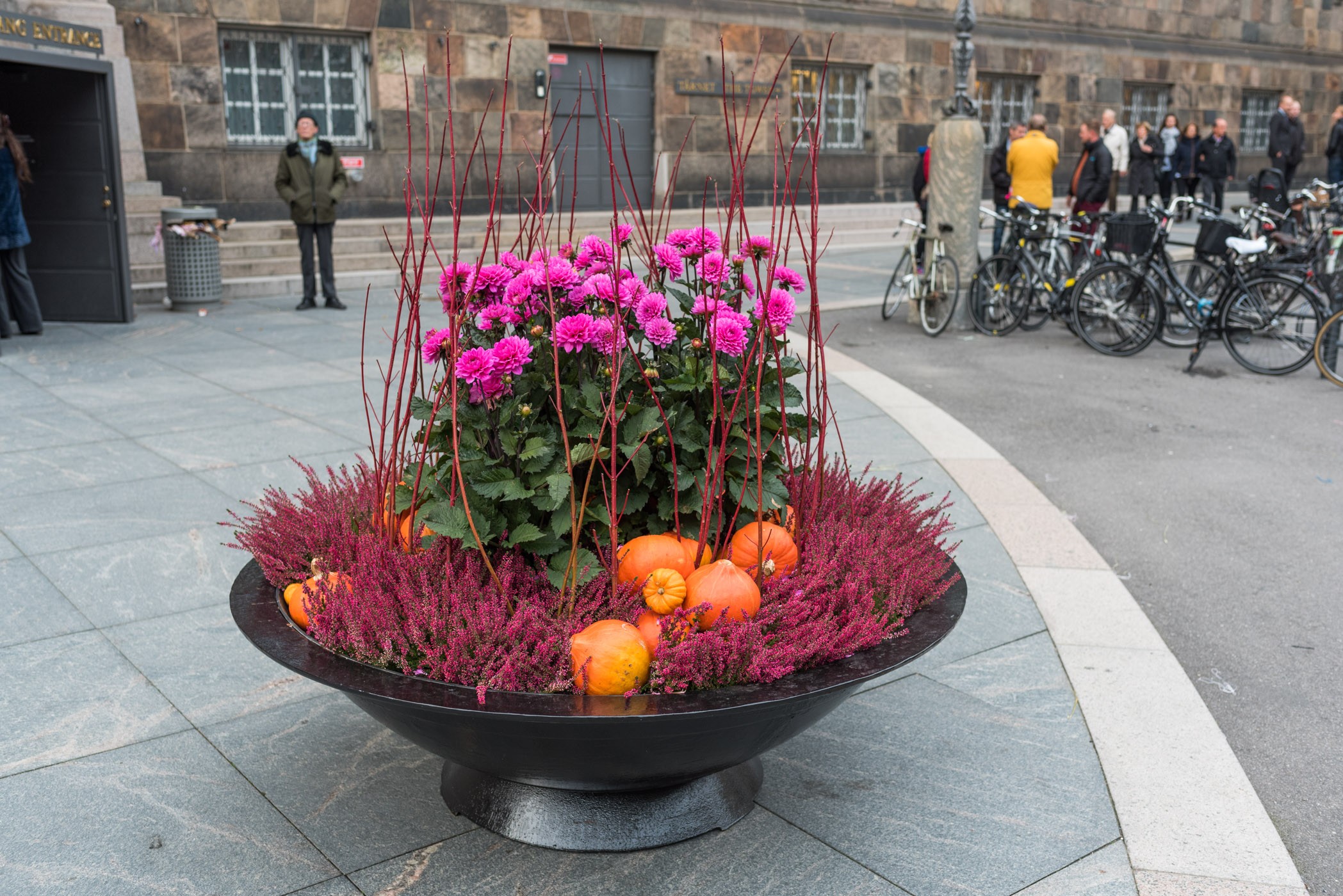 Wat zie je allemaal op de foto? Wat denk je dat de fotograaf het liefst wilde laten zien?