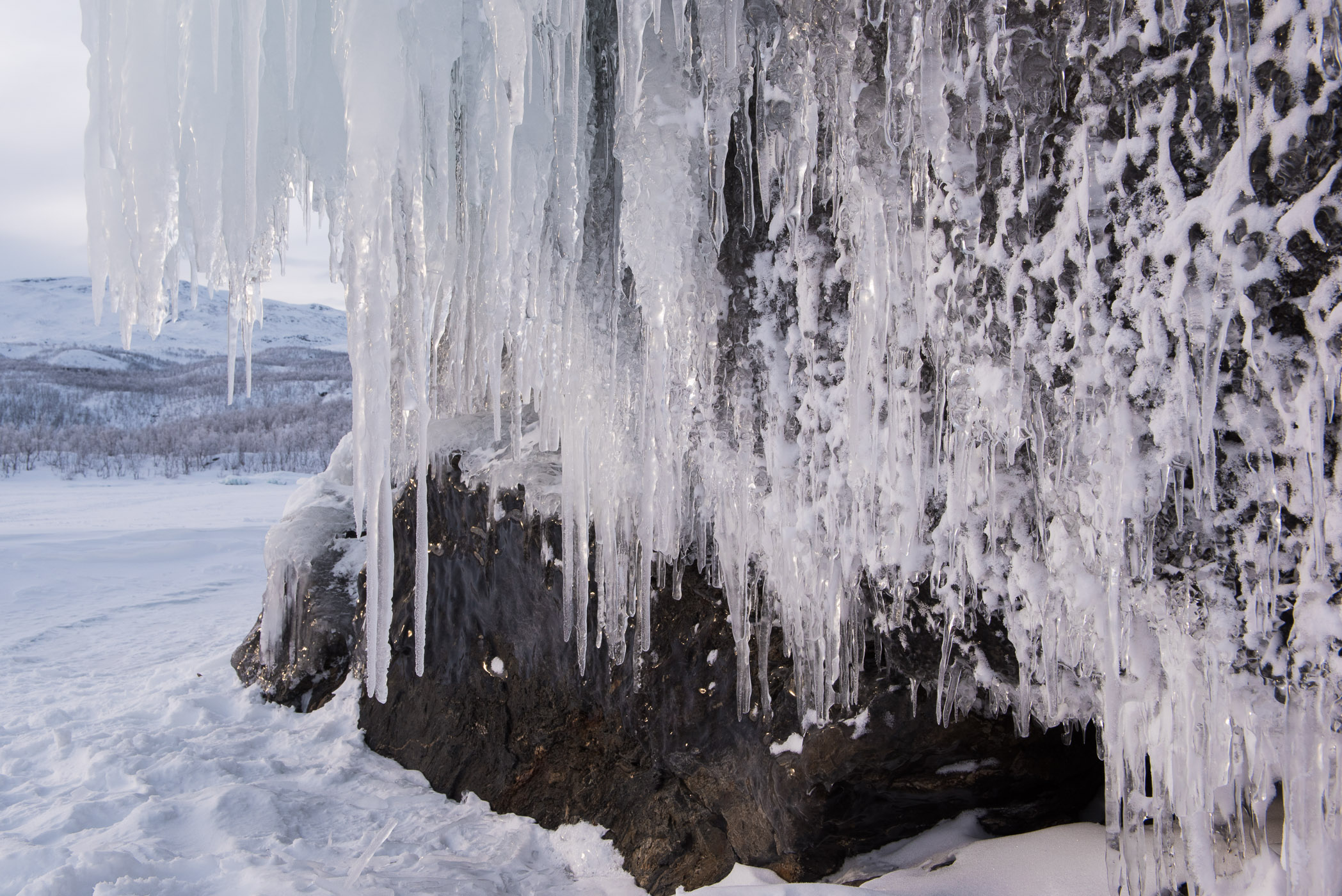 Ijspegels in Lapland