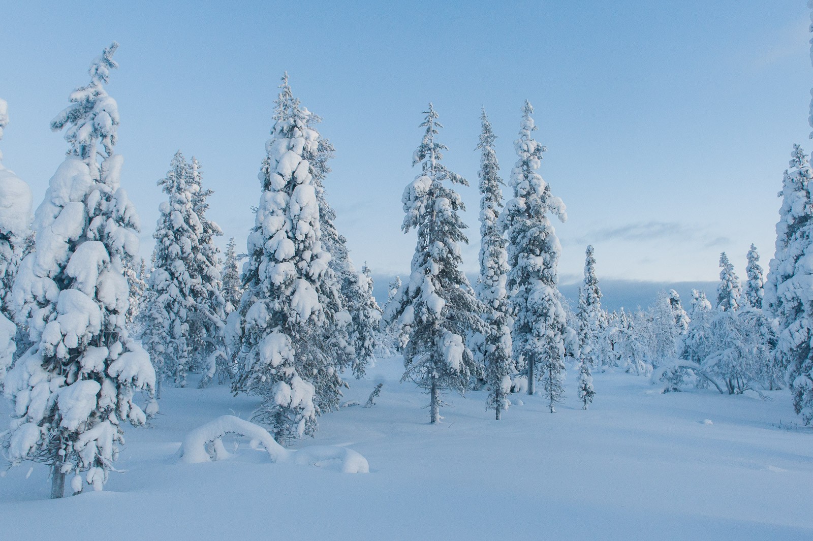 Eerst fotograferen, dan pas verder lopen! Ik wil geen voetstappen achterlaten in een mooi beeld!