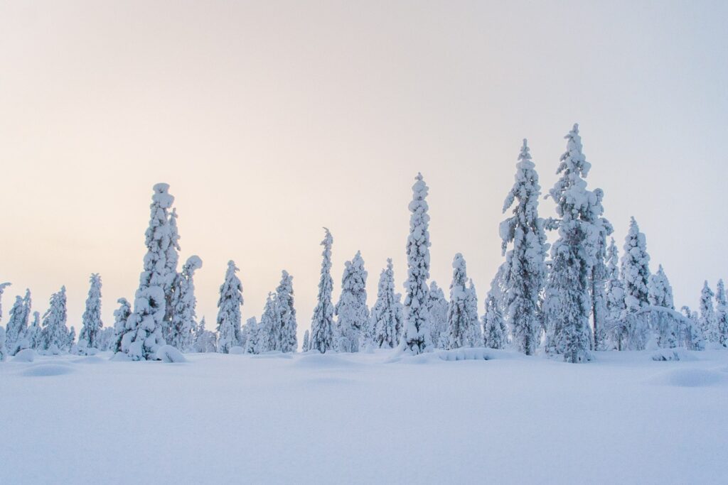 Van dit soort landschappen wordt je toch gelukkig?