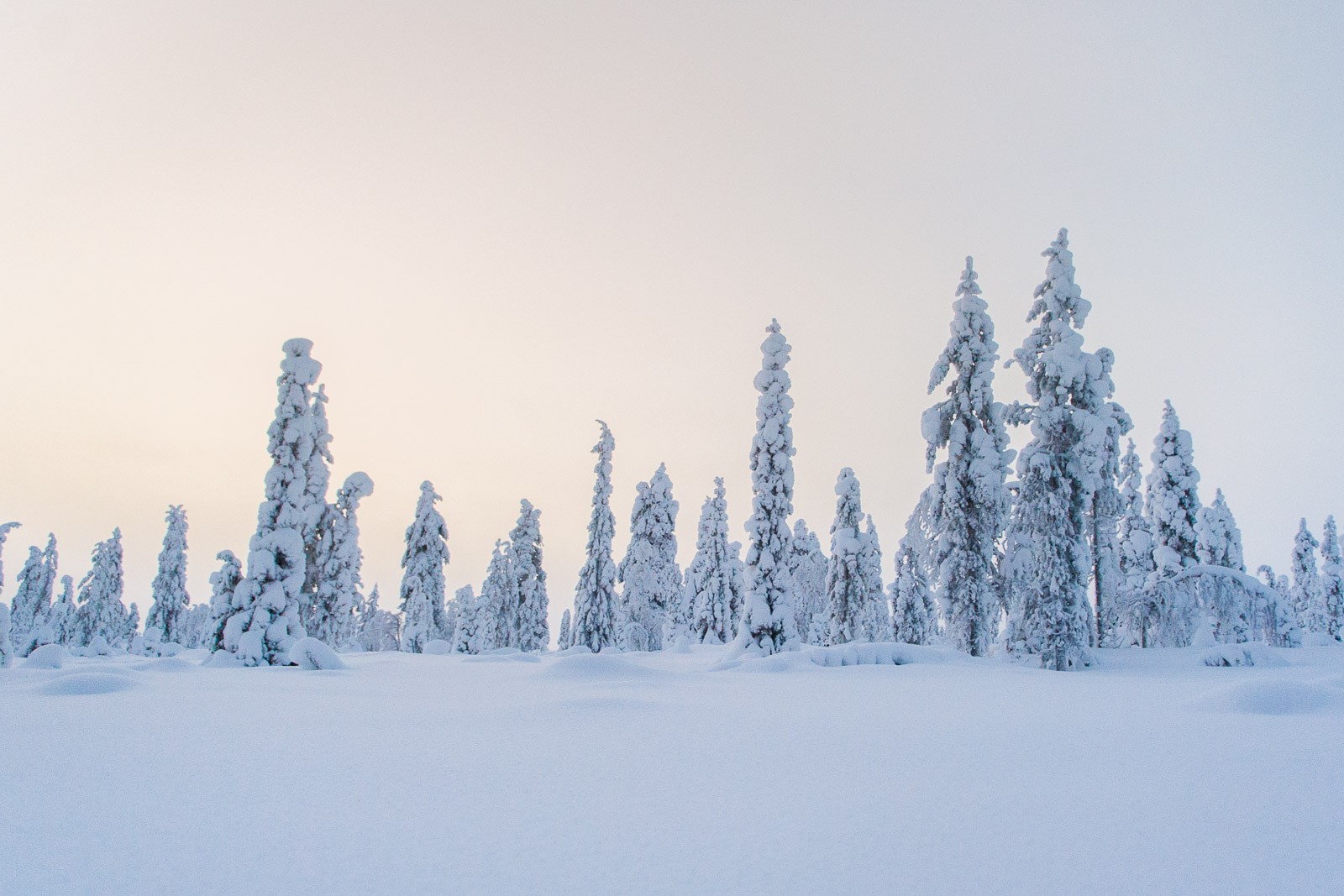 Van dit soort landschappen wordt je toch gelukkig?