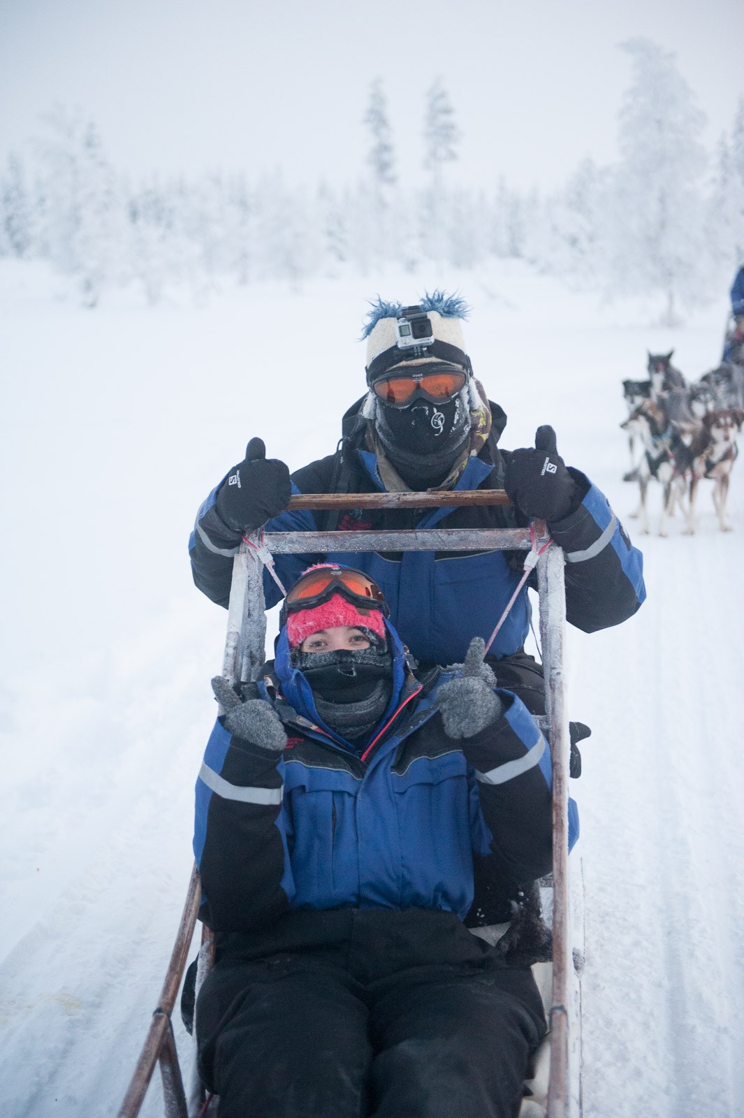 Het was alweer donker toen we terugkwamen bij de huskyrange.