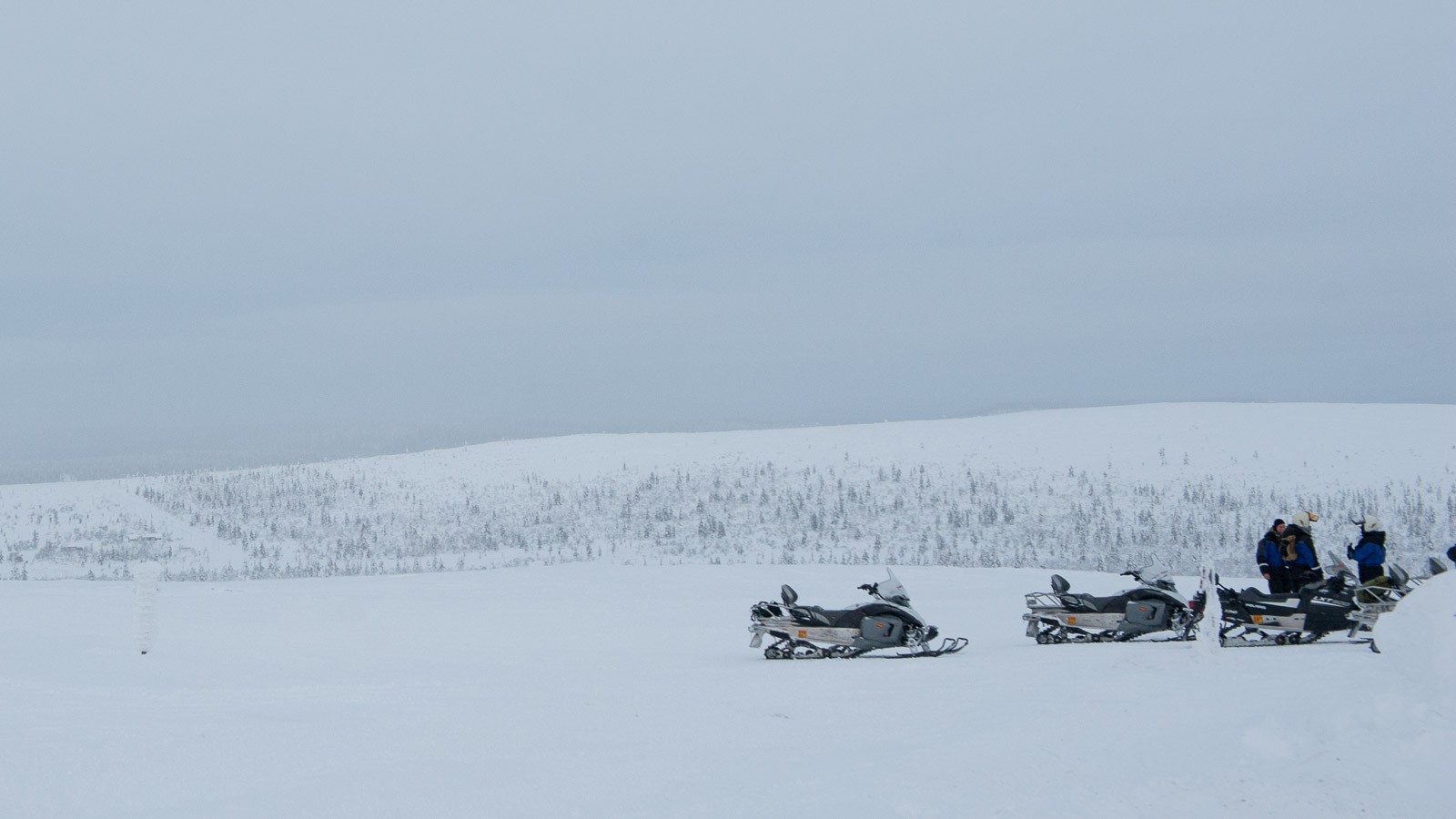 Wit wit en nog eens wit