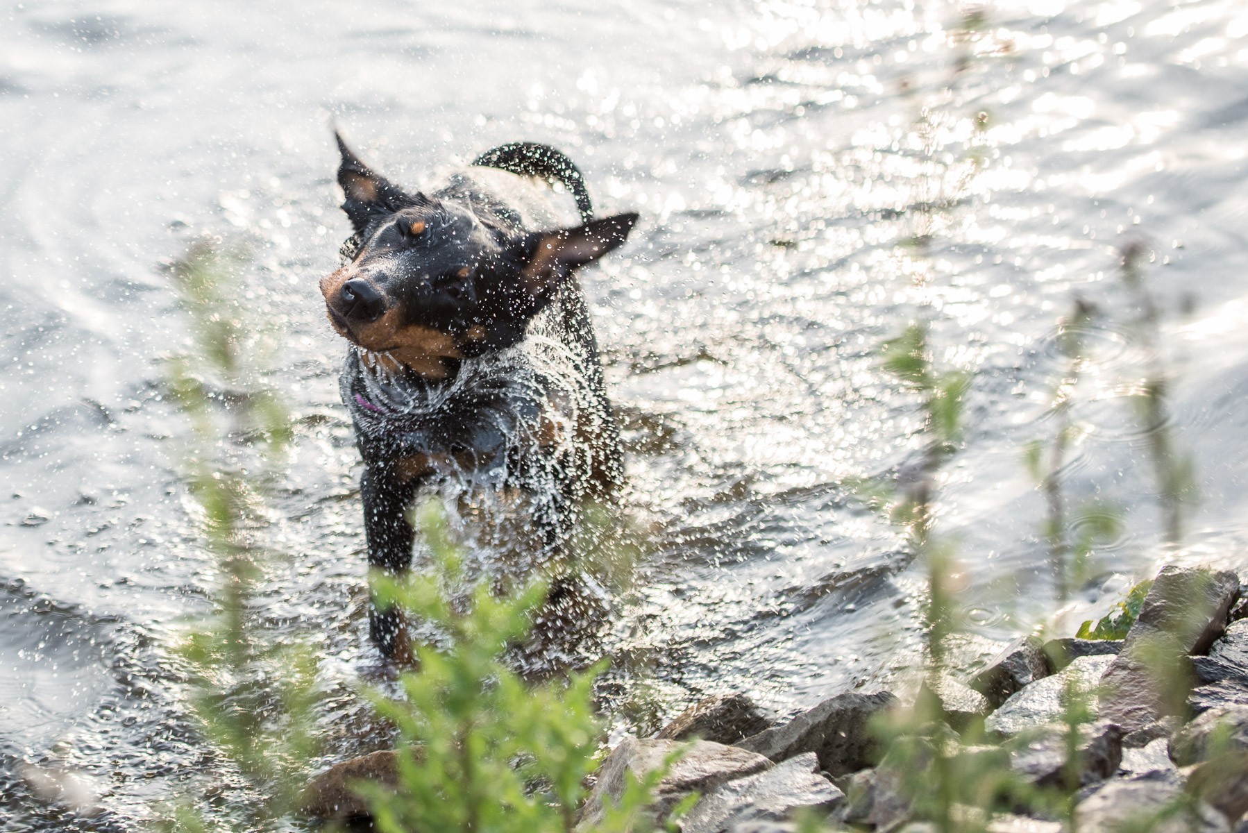 JJ schut zich uit na een zwempartij