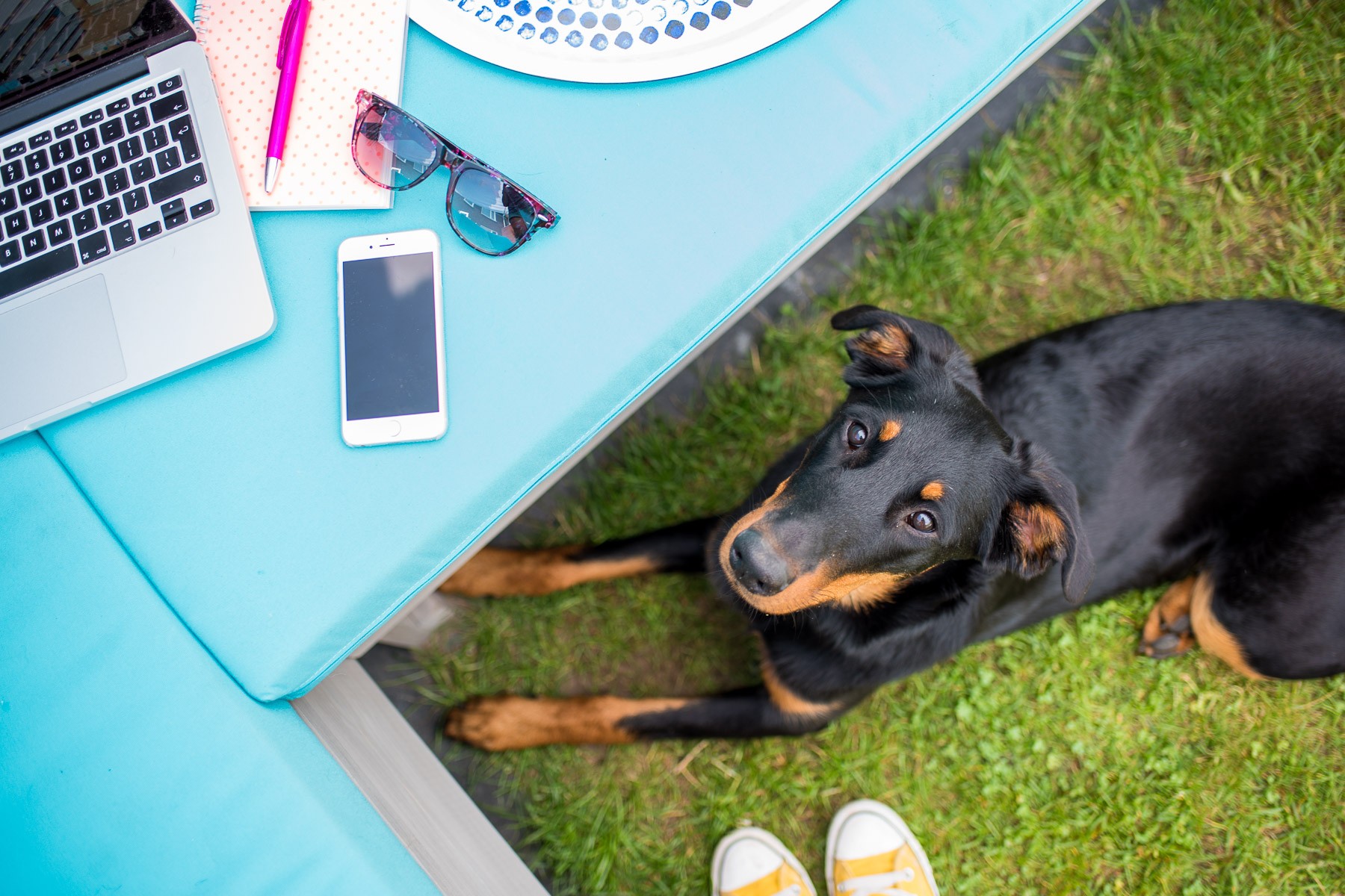 Aan het werk in de tuin, met JJ aan m'n voeten