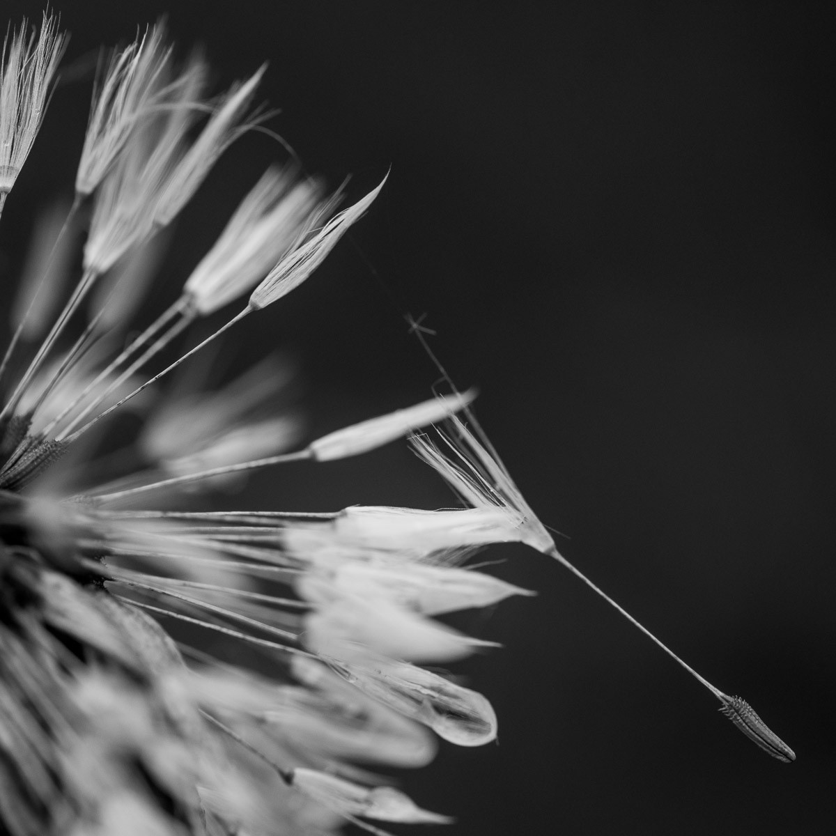 The one that stands out