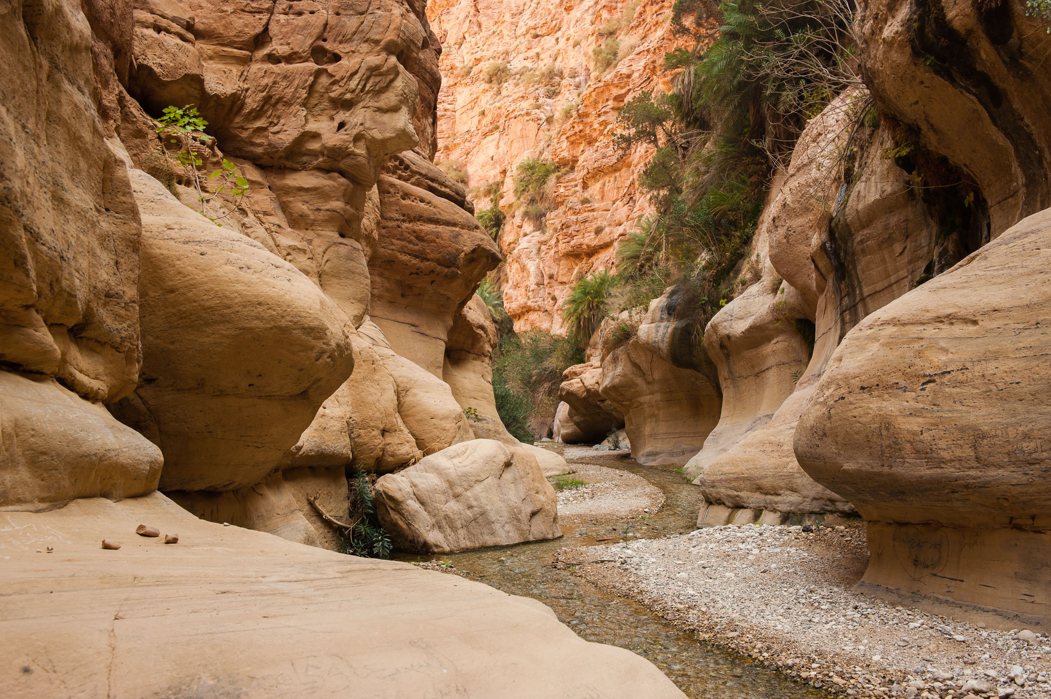 laura-vink-jordanie-6202