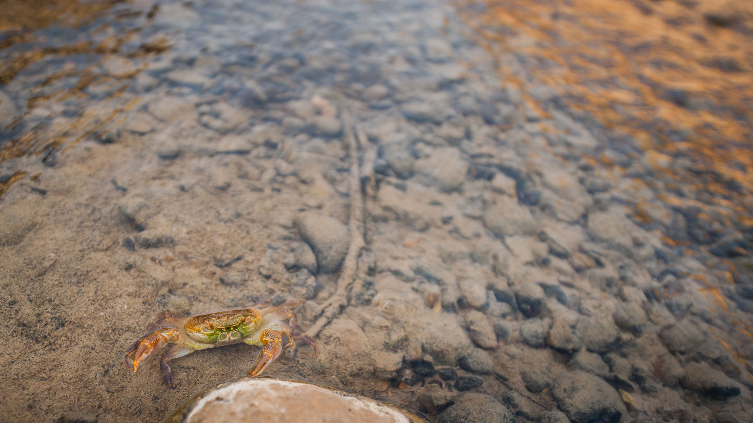 laura-vink-jordanie-6240